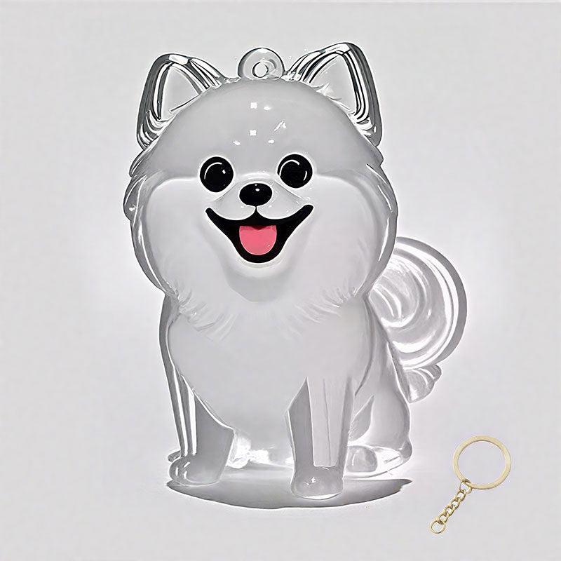 🐶Schlüsselanhänger mit Tierhaar-Souvenir – Bewahren Sie die Wärme Ihres Begleiters💖✨