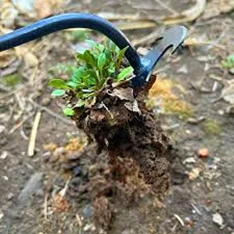 Neues Artefakt zur Unkrautbekämpfung Uprooting Weeding Tool