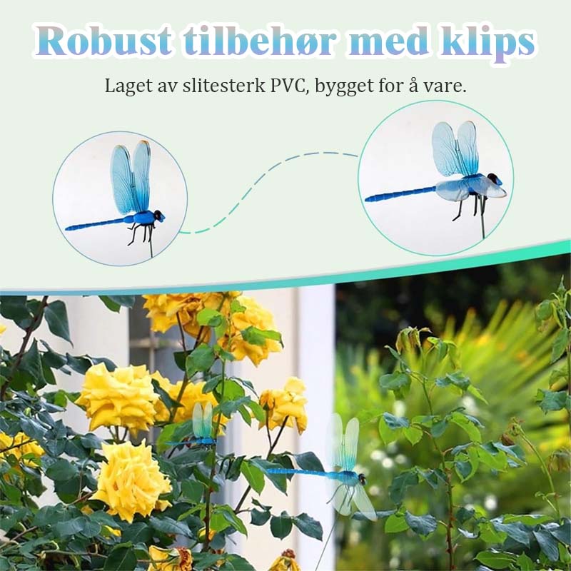 Simulation von Libellenclips
