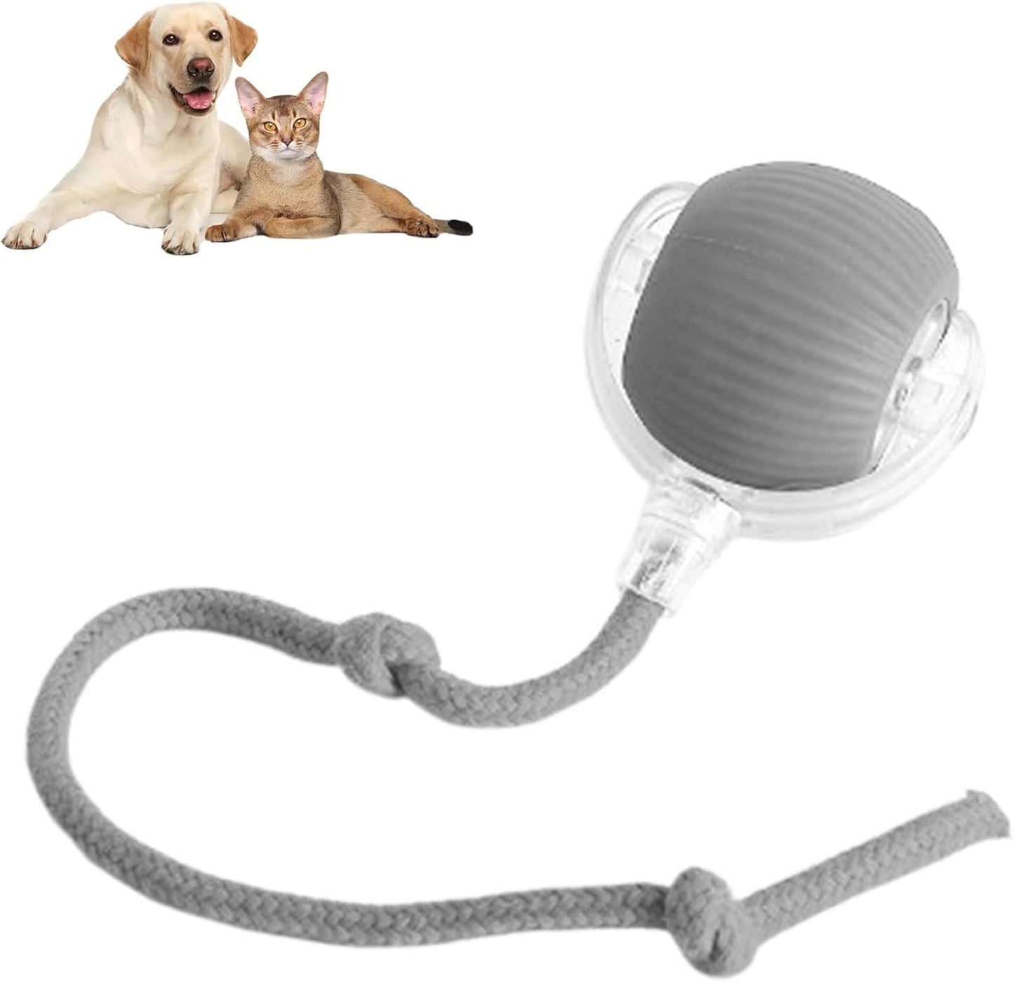 😻Smart Chasing Haustier Spielzeug Ball🐶