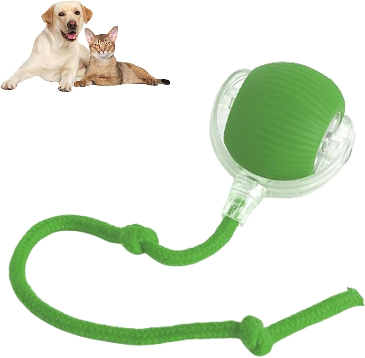 😻Smart Chasing Haustier Spielzeug Ball🐶