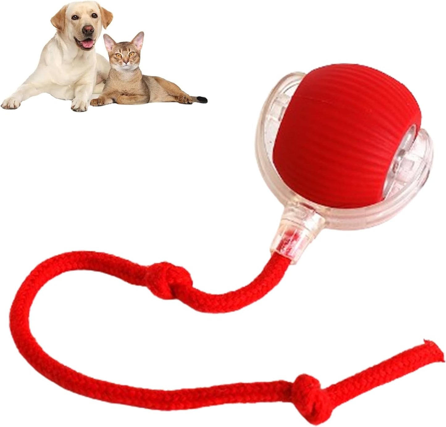 😻Smart Chasing Haustier Spielzeug Ball🐶