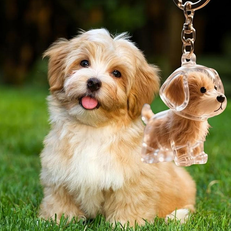 🐶Schlüsselanhänger mit Tierhaar-Souvenir – Bewahren Sie die Wärme Ihres Begleiters💖✨