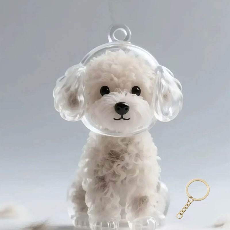 🐶Schlüsselanhänger mit Tierhaar-Souvenir – Bewahren Sie die Wärme Ihres Begleiters💖✨