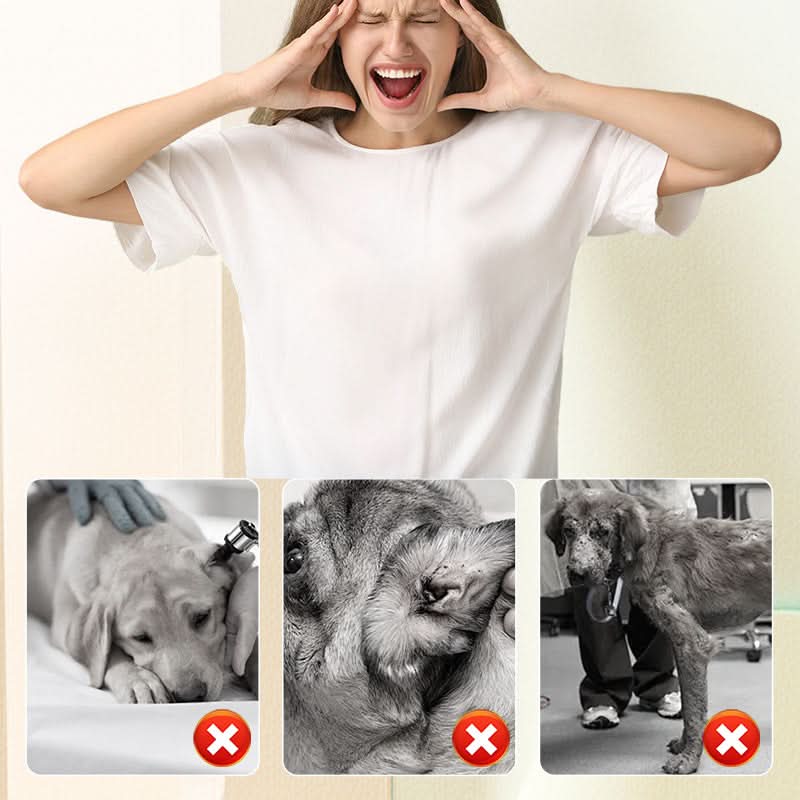 🔥Floh- Und Zeckenschutzspray Für Katzen Und Hunde