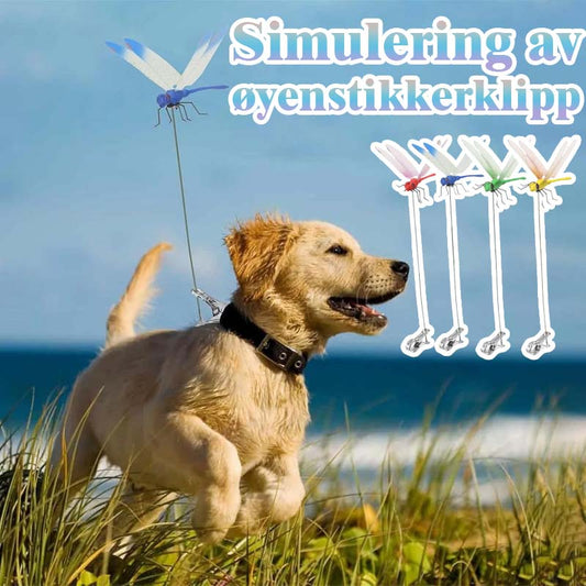 Simulation von Libellenclips