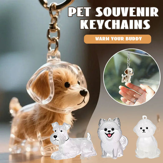 🐶Schlüsselanhänger mit Tierhaar-Souvenir – Bewahren Sie die Wärme Ihres Begleiters💖✨