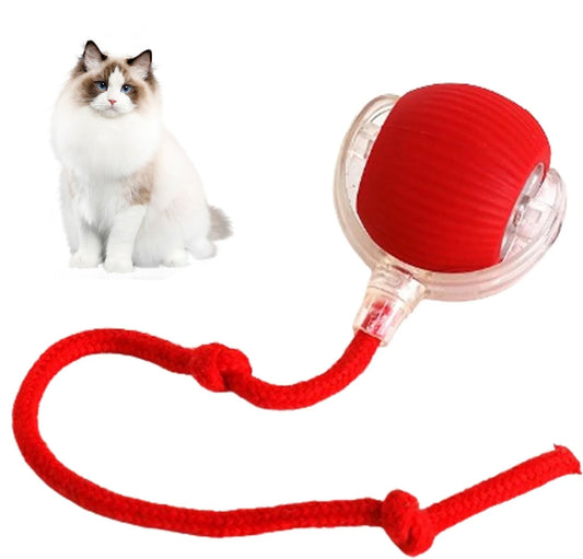 😻Smart Chasing Haustier Spielzeug Ball🐶