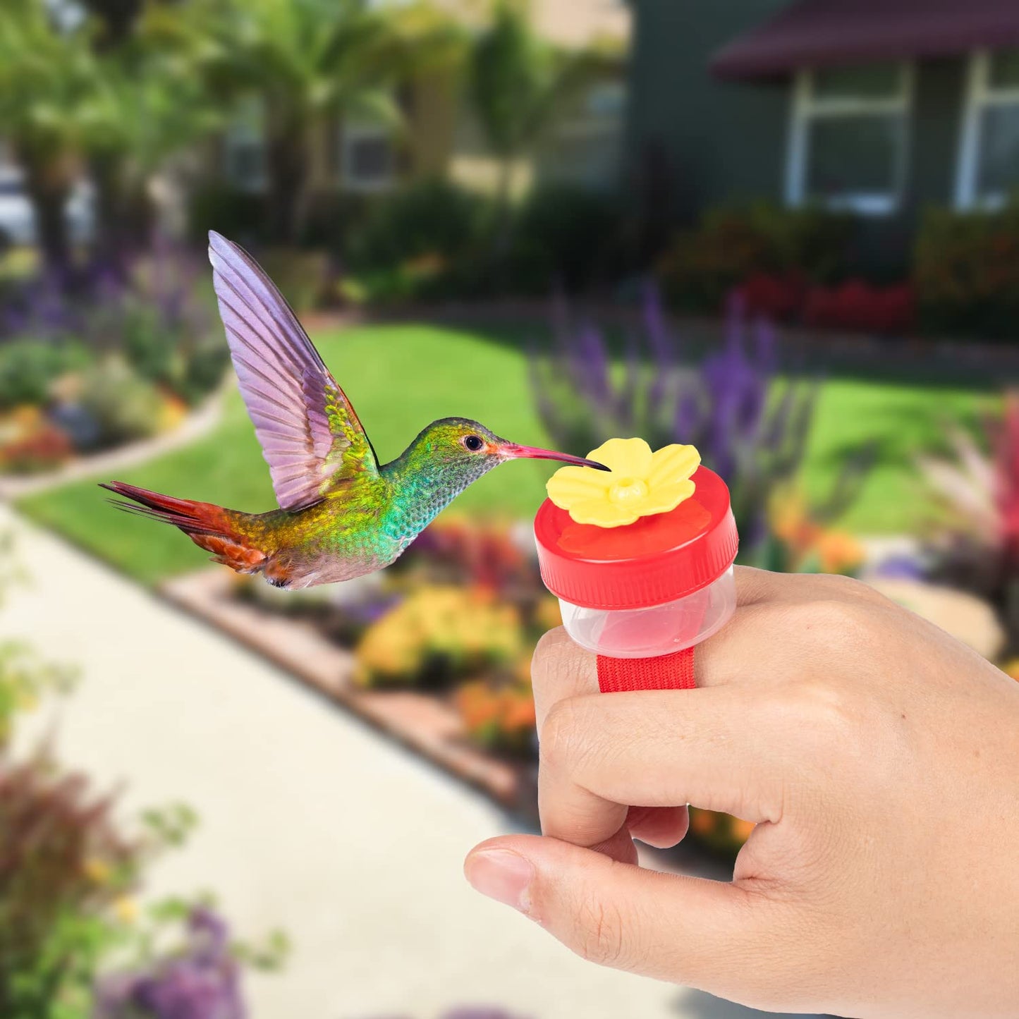 🐦💍 Hummingbird Feeder Ring