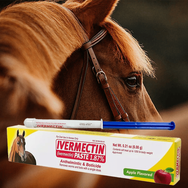 Ivermectin Pferdepaste 1,87% 6,08g Tuben